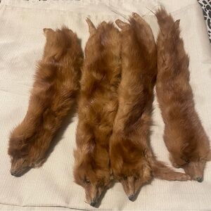 Fur full body pelts head eyes feet teeth… make a fashion statement and offer 😉